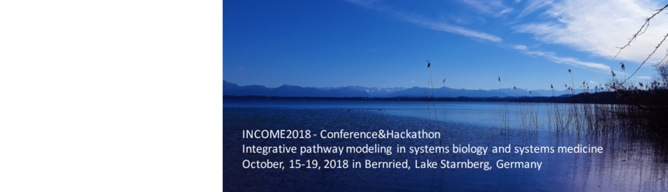 INCOME - Collaborative modeling network in systems medicine